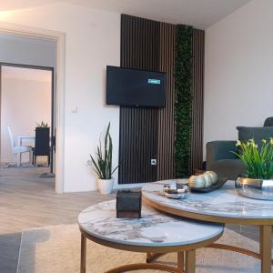 Μια τηλεόραση ή/και κέντρο ψυχαγωγίας στο A&A Apartments