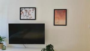 een flatscreen-tv aan een muur met drie foto's bij Brise de Loire in Nevers +2 foto's