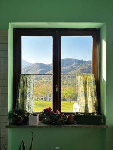 a window with potted plants on a window sill at Rubattiera casa vacanze in Roccasparvera
