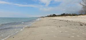 a sandy beach with the ocean on a cloudy day at Ocean Breeze next to the Beach in Beddinge Strand