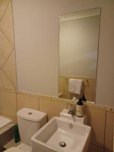 a bathroom with a sink and a toilet and a mirror at Sanctuary at Waterfall in Midrand +5 photos