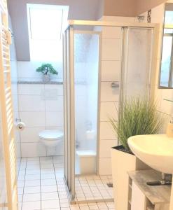 a bathroom with a shower and a toilet and a sink at Ferienwohnung "Harzblick" mit eigenem Balkon in Braunlage