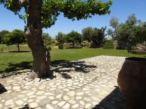 ein Baum auf einem Steinboden neben einem Park in der Unterkunft The Stone Cottage Kos in Kos-Stadt
