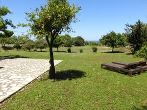 ein Park mit einer Bank und einem Apfelbaum in der Unterkunft The Stone Cottage Kos in Kos-Stadt