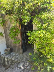 una entrada al jardín de una casa con puerta de madera en Maison proche du port de La Ciotat, en La Ciotat