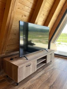 TV a/nebo společenská místnost v ubytování Piva Paradise