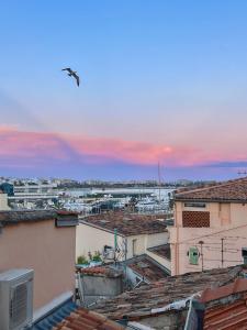 Príroda v okolí apartmánu + 9 fotografií