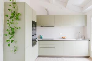 a white kitchen with white cabinets and a plant at La casa di rovere in Lugo