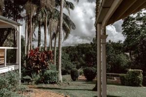 un porche d'une maison avec des palmiers dans l'établissement The Postman's Cottage - Hinterland Luxury, à Montville