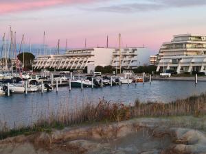 ein Yachthafen mit Booten im Wasser neben Gebäuden in der Unterkunft Adoya plage Studio cabine vue port et mer in Le Grau-du-Roi + 13 Fotos