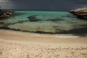 a view of a beach with the water at Playa del Mar - Adults Only in Monopoli