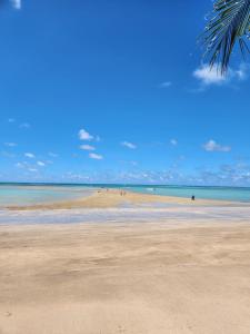 a beach with people in the water and a palm tree at Refúgio Azul de Maragogi in Maragogi