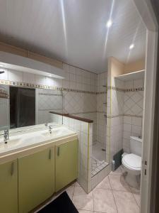 a bathroom with a sink and a toilet at Tropicalys - Maison Vue Sur Mer, Plage 10m à pied in Le Diamant