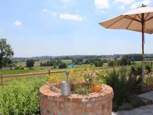 Zahrada ubytování Villa in Ellezelles with Garden and Terrace