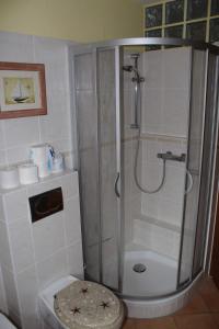 une salle de bain avec douche et toilettes dans l'établissement Marschenblick-1, à Sankt Peter-Ording