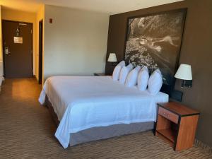 Una habitación de hotel con una cama grande con almohadas blancas. en Super 8 by Wyndham Colorado Springs Airport, en Colorado Springs 9 fotos más