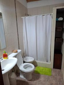 a bathroom with a toilet and a sink and a shower at Cabaña SUSI in General Alvear