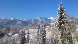 domek narciarski w górach z pokrytymi śniegiem drzewami w obiekcie udanypobyt Pokoje Klemensówka w Zakopanem