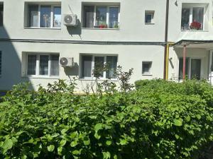 a building with windows and a bush in front of it at Apartament Maria in Turda