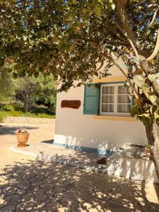 a house with a blue window and a tree at Nikoli Apartments in Benitses