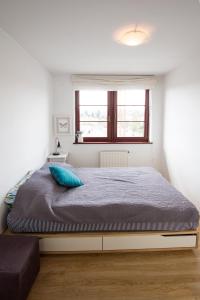 ソポトにあるApartament 22のベッドルーム1室(大型ベッド1台、青い枕付)