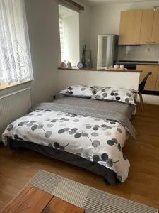 Postel nebo postele na pokoji v ubytování Apartmán u Poustevníka