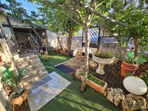 a garden with plants and a tree and stairs at בקתה אברהם in Safed