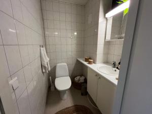 a white bathroom with a toilet and a sink at Annela, kodikas kaksio Euran sydämessä in Eura