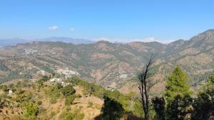 Fotografie z fotogalerie ubytování Badri vishal homestay v destinaci Phata