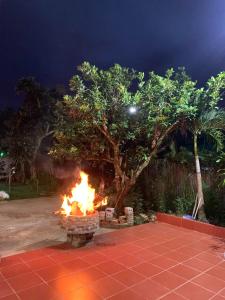 a fire pit in front of a tree at night at Pin's House - Nhà Nghỉ Dưỡng Nguyên Căn 4 phòng ngủ 4 WC Đầy Đủ Tiện Nghi in Bảo Lộc
