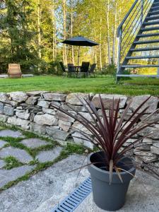 Zahrada ubytování Apartment Lipno Hůrka