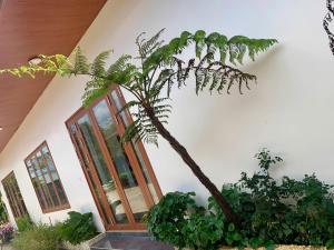 a palm tree in front of a building at Pin's House - Nhà Nghỉ Dưỡng Nguyên Căn 4 phòng ngủ 4 WC Đầy Đủ Tiện Nghi in Bảo Lộc +34 photos