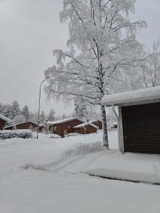 une cour enneigée avec un arbre et un garage dans l'établissement Cozy Forest Retreat in Kuopio - Perfect for Families Work Trips, à Kuopio 6 autres photos