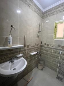 Koupelna v ubytování Large 2 Bedrooms 4 beds full apartment suitable for Families in Fayoum Dalah