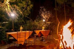 卡绍利Pine Vista Resort !! A Complete Resort with all Facilities # A Beautiful Mountain View # Best Selling Property的相册照片