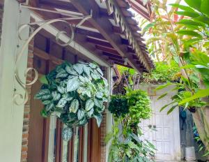 wiązka warzyw wisząca na budynku w obiekcie Rumah Kayu Yogyakarta By Hamsa Putih w mieście Yogyakarta