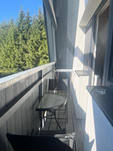 Balkón nebo terasa v ubytování Apartment Lipno Hůrka