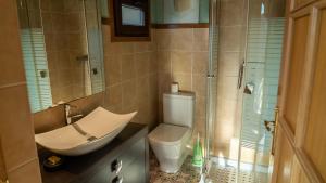a bathroom with a toilet and a sink and a shower at Casa El Mirador del Miño en la Ribeira Sacra in Rosende