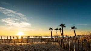 Φυσικό τοπίο κοντά σε αυτό το κάμπινγκ