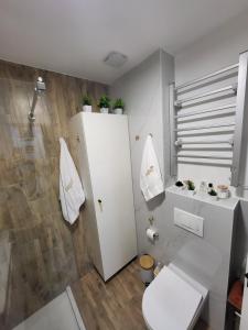 Ένα μπάνιο στο Apartmani Dragulji Vrnjacka Banja +26 φωτογραφίες