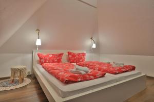a bedroom with two beds with red pillows at Fischerhaus Whg Sonnenaufgang in Neukloster