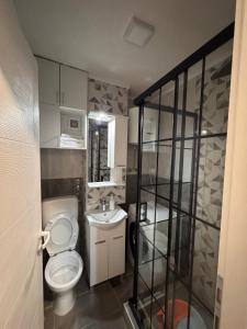 a small bathroom with a toilet and a sink at A&A Apartment in Sarajevo