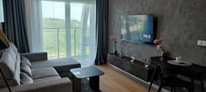 TV a/nebo společenská místnost v ubytování GOLD APARTMENTS Panorama Kwiatkowskiego