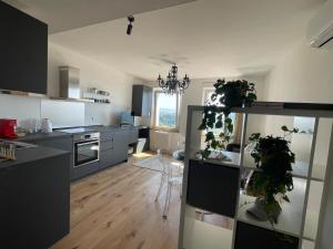een keuken met grijze kasten en potplanten erin bij PG Magic View - City Center in Perugia +12 foto's
