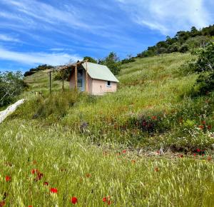 Landskap semula jadi dekat dengan the country house