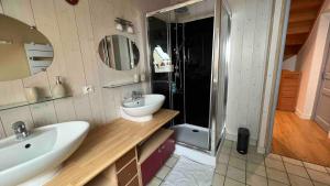 un baño con lavabo y ducha en Apartment near Lake Annecy, en Menthon-Saint-Bernard