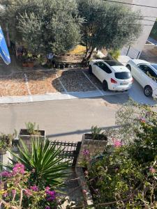 Fotografie z fotogalerie ubytování Apartmani Tamara v destinaci Tivat