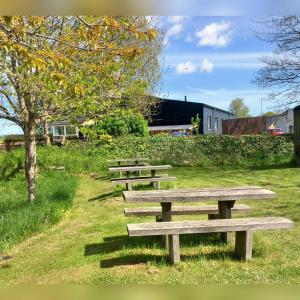 a row of wooden benches sitting in a field at Villa Sommersted Tanja Blixen in Sommersted