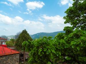 a view of the mountains from a tree at Bed & breakfast Gevorgyans' in Tatʼev