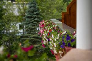 A garden outside Berg & SPA Hotel Urslauerhof